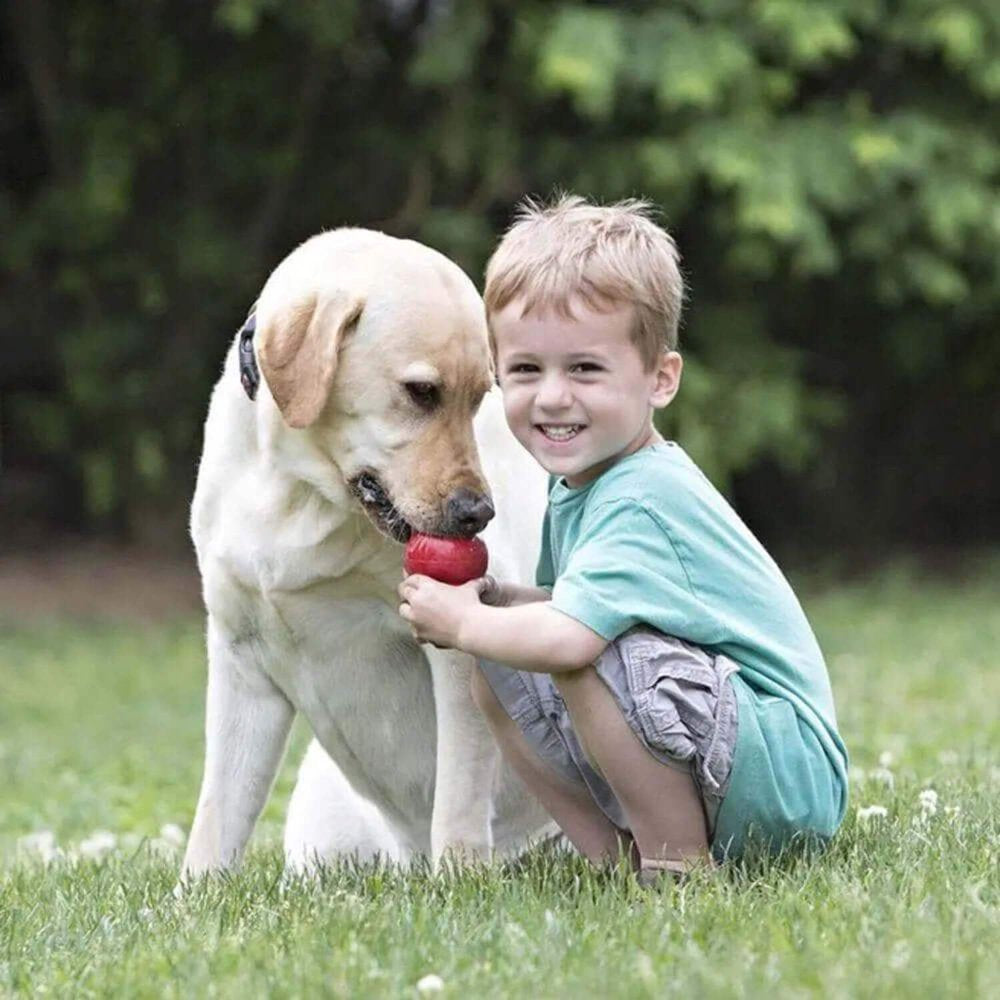 Classic Dog Chew Toy, Red