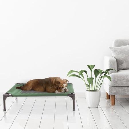 30X24 Portable Elevated Bed for Pets with Non-Slip Feet -Pets up to 50Lbs (Green)