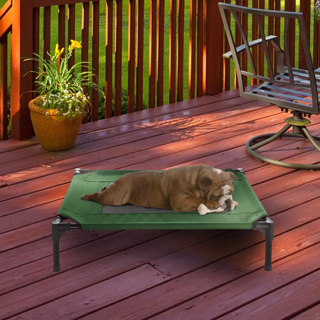 30X24 Portable Elevated Bed for Pets with Non-Slip Feet -Pets up to 50Lbs (Green)